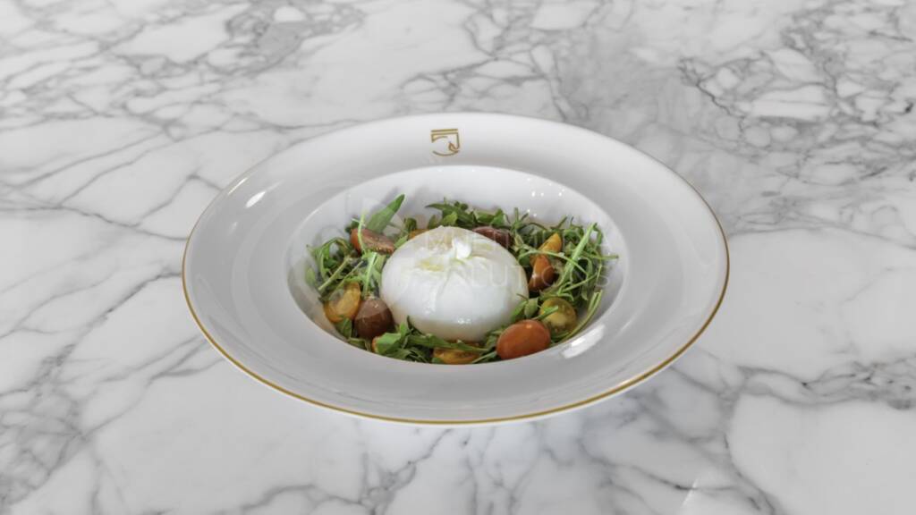 ColtEquestrian_Burrata (Medium)
