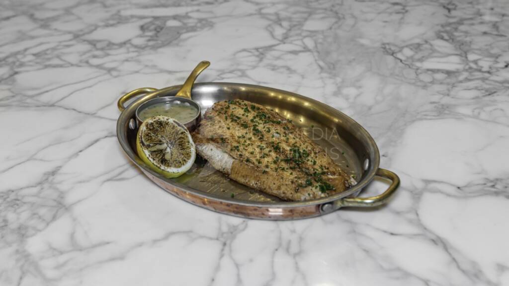 ColtEquestrian_DoverFish (Medium)