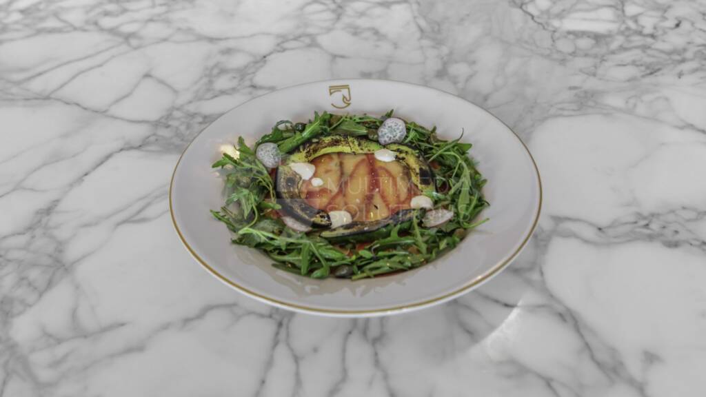 ColtEquestrian_SalmonFlax (Medium)