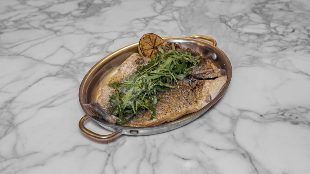 ColtEquestrian_Seabream (Medium)